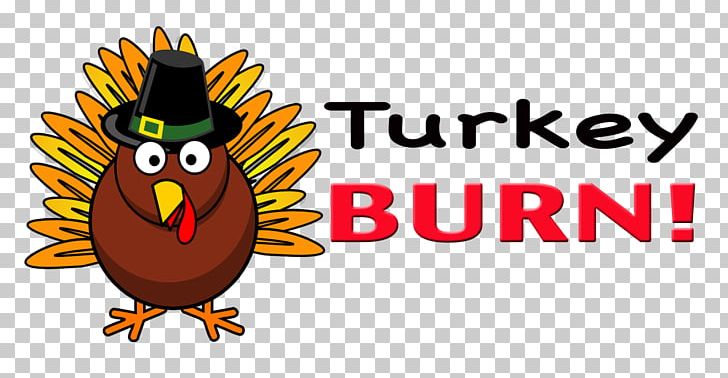 Turkey Meat PNG, Clipart, Animation, Beak, Bird, Brand, Chicken Free PNG Download