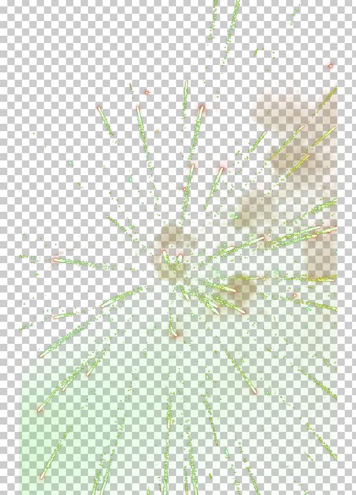 Twig Green Pattern PNG, Clipart, Branch, Cartoon Fireworks, Festival, Firework, Fireworks Free PNG Download