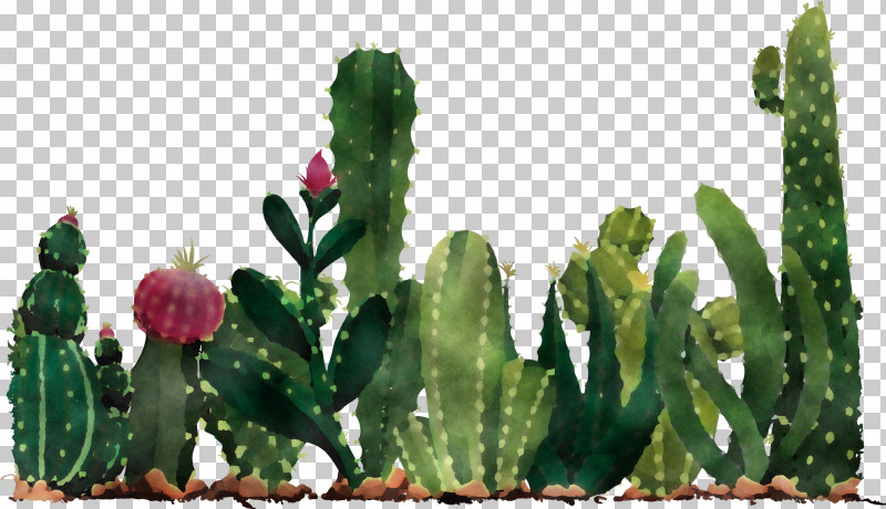 Mexico Elements PNG, Clipart, Cactus, Cartoon, Drawing, Juice, Mexico Elements Free PNG Download