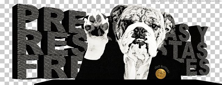French Bulldog Pug Snout Race PNG, Clipart, Behavior, Black And White, Brand, Bulldog, Carnivoran Free PNG Download