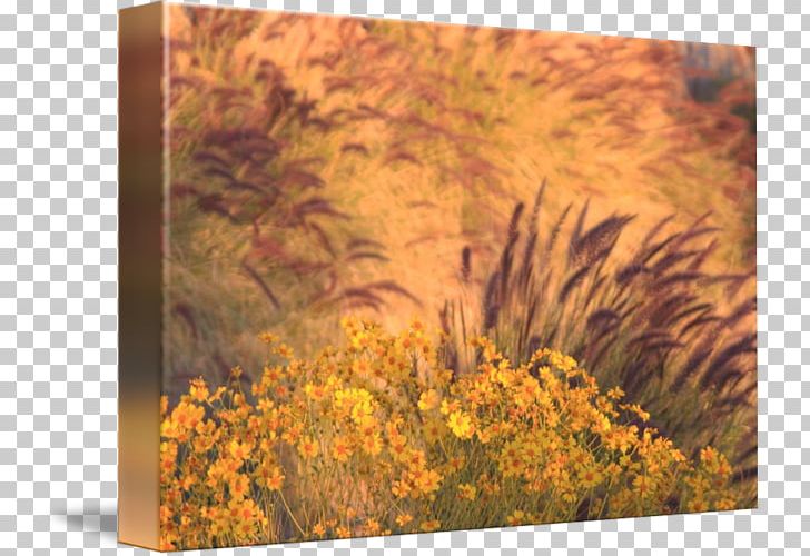Gallery Wrap Yellow Canvas Wood /m/083vt PNG, Clipart, Art, Canvas, Flower, Gallery Wrap, Grass Free PNG Download