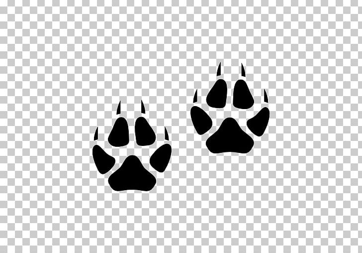 Arctic Fox Red Fox Cat Footprint Animal Track PNG, Clipart, Animal, Animals, Animal Track, Arctic Fox, Black Free PNG Download