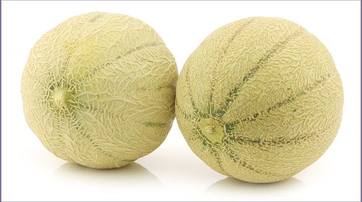 Cantaloupe Melon Stock Photography PNG, Clipart, Apple, Banco De Imagens, Can Stock Photo, Cantaloupe, Cucumber Gourd And Melon Family Free PNG Download