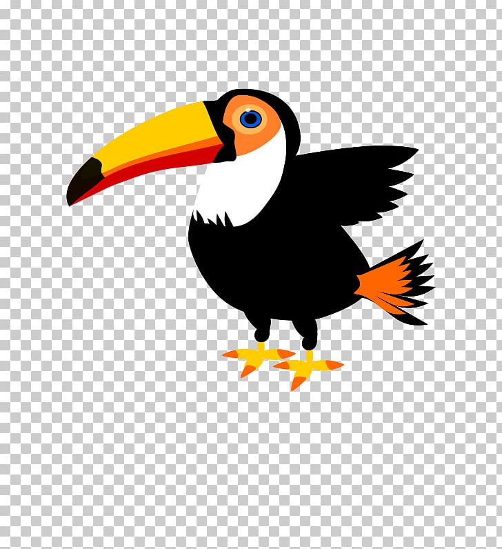 Toco Toucan Parrot Snake PNG, Clipart, Animals, Beak, Bird, Channelbilled Toucan, Drawing Free PNG Download