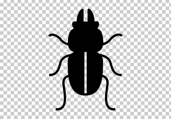 Beetle Art Drawing PNG, Clipart, Animal, Animals, Art, Artwork, Bed Bug Free PNG Download