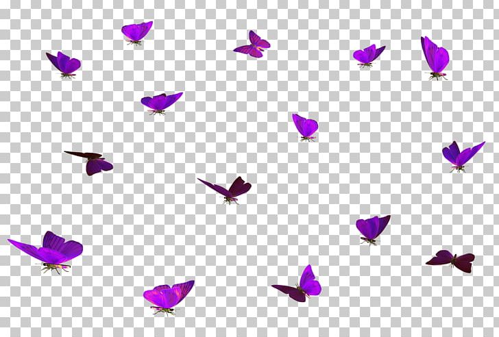 Butterfly Colias Hyale PNG, Clipart, Blue Butterfly, Butterflies, Butterfly, Butterfly Group, Butterfly Wings Free PNG Download