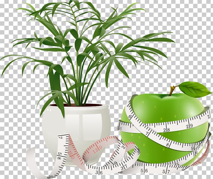 Flowerpot Plant Icon PNG, Clipart, Apple Vector, Arecales, Background Green, Download, Fruit Nut Free PNG Download