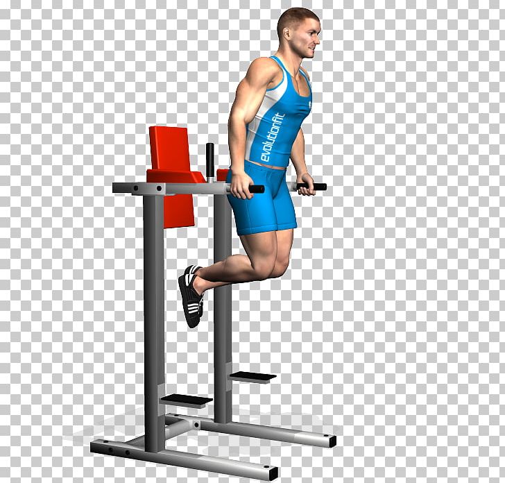 Weight Training Triceps Brachii Muscle Push-up Dip Exercise PNG, Clipart, Abdomen, Arm, Balance, Barbell, Calf Free PNG Download
