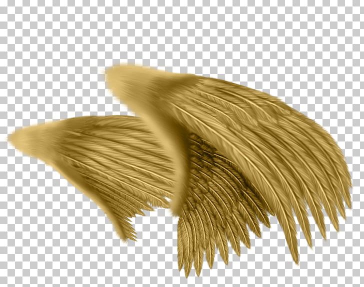 Drawing Angel Feather Photography PNG, Clipart, Abstract Pattern, Angel, Angel Wings, Art, Brown Free PNG Download