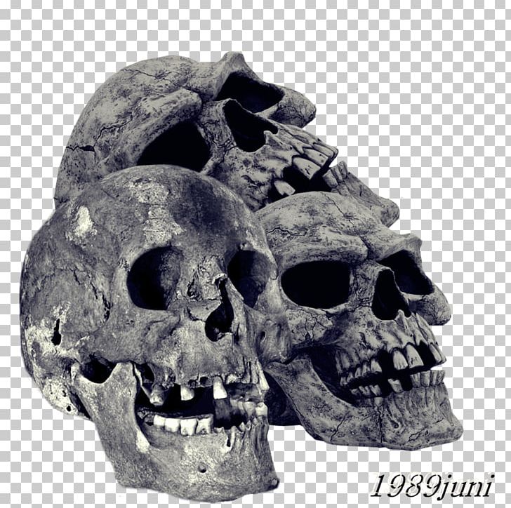 Human Skull Symbolism Skeleton PNG, Clipart, Art, Bone, Desktop Wallpaper, Drawing, Expendables Free PNG Download