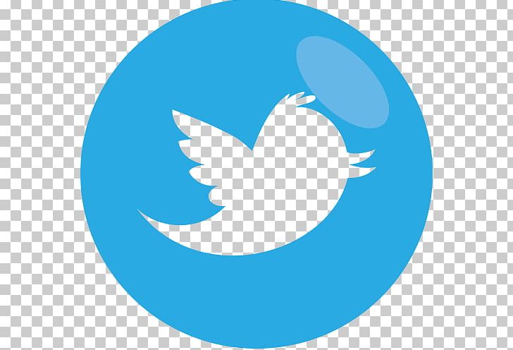 Logo YouTube Social Media Computer Icons Charlotte PNG, Clipart, Artist, Beak, Blog, Blue, Charlotte Free PNG Download