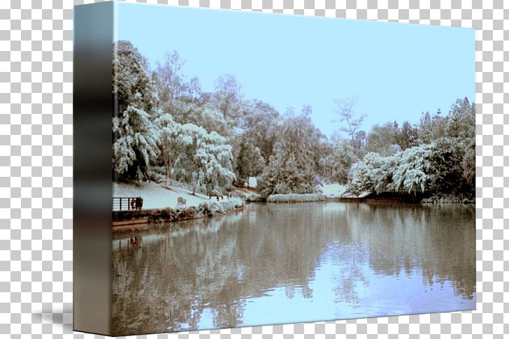 Water Resources Wetland Waterway Inlet Tree PNG, Clipart, Bank, Bayou, Botanic Garden, Inlet, Lake Free PNG Download