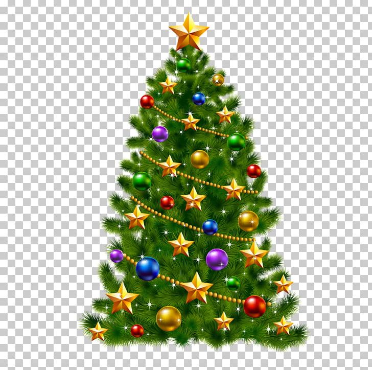 Christmas Tree PNG, Clipart, Christ, Christmas Decoration, Christmas Frame, Christmas Lights, Christmas Vector Free PNG Download