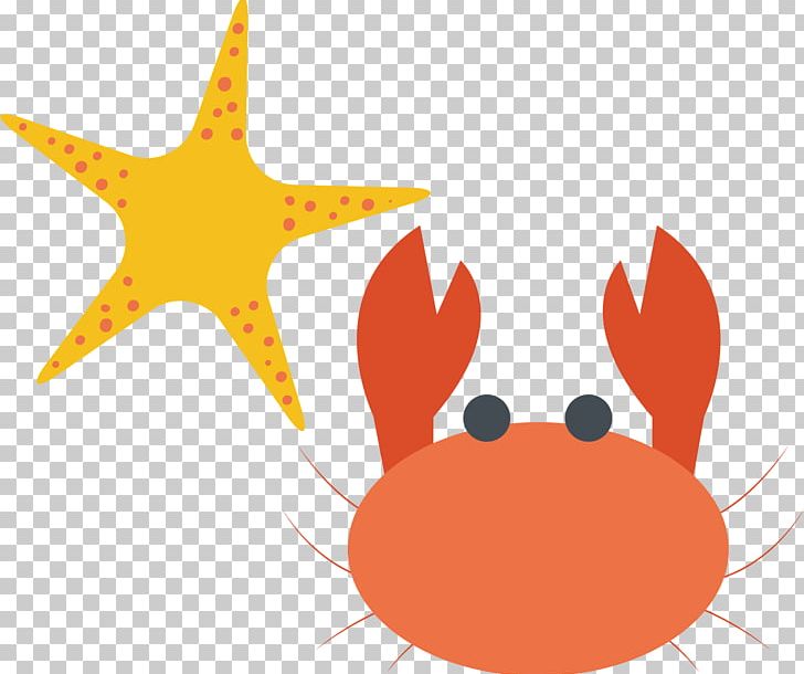 Crab Illustration PNG, Clipart, Animals, Download, Euclidean Vector, Happy Birthday Vector Images, Jpeg Network Graphics Free PNG Download