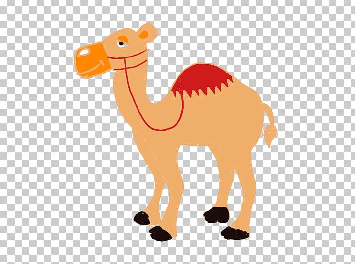 Dromedary Camel Snout Terrestrial Animal PNG, Clipart, Animal, Animal Figure, Arabian Camel, Camel, Camel Like Mammal Free PNG Download