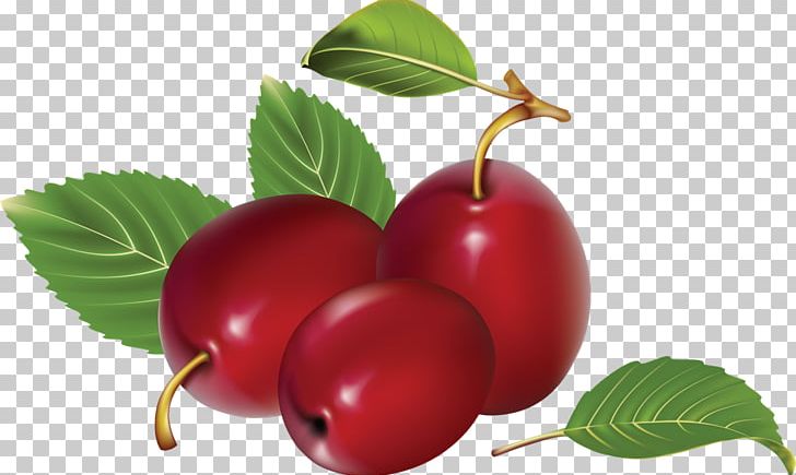 Fruit Plum Apple PNG, Clipart, Apple, Apple Fruit, Berry, Cherry, Currant Free PNG Download