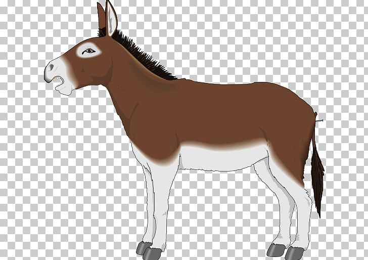 Donkey Free Content PNG, Clipart, Bit, Blog, Bridle, Colt, Donkey Free PNG Download