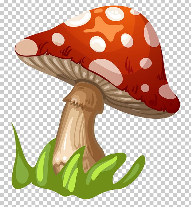 Fungus Mushroom PNG, Clipart, Child, Clip Art, Drawing, Encapsulated Postscript, Fungus Free PNG Download