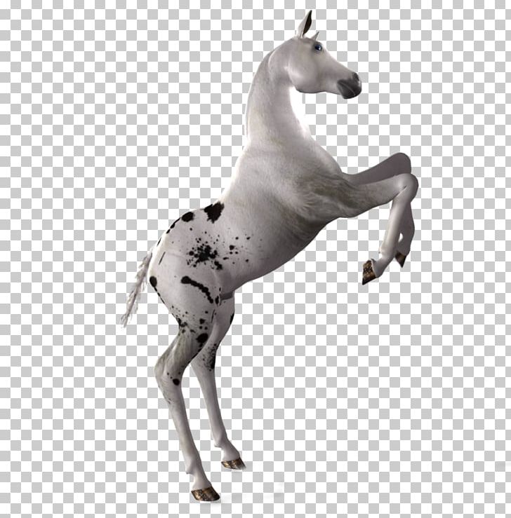 Mustang Foal Stallion Colt Mare PNG, Clipart, Animal Figure, Art, Black And White, Colt, Deviantart Free PNG Download