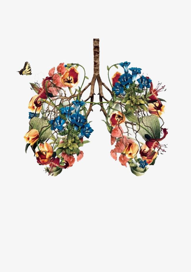 Hand-painted Plants Lungs PNG, Clipart, Branches, Butterfly, Elements, Environmental, Environmental Elements Free PNG Download