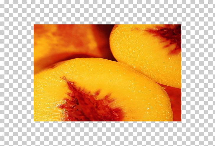 Peach Juice Nectar Auglis Fruit PNG, Clipart, Auglis, Brain, Closeup, Concentrate, Cucumber Free PNG Download