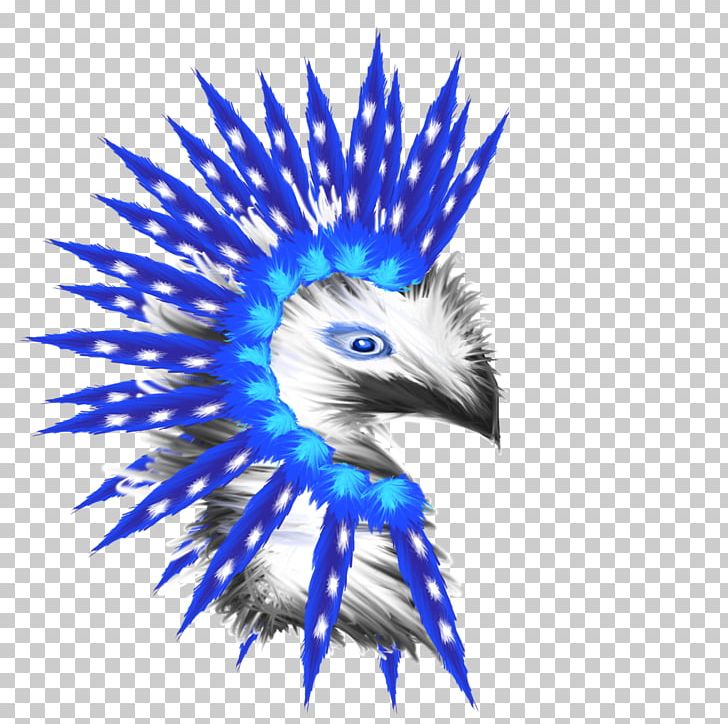 Bald Eagle Beak Cobalt Blue PNG, Clipart, Animals, Bald Eagle, Beak, Bird, Bird Of Prey Free PNG Download