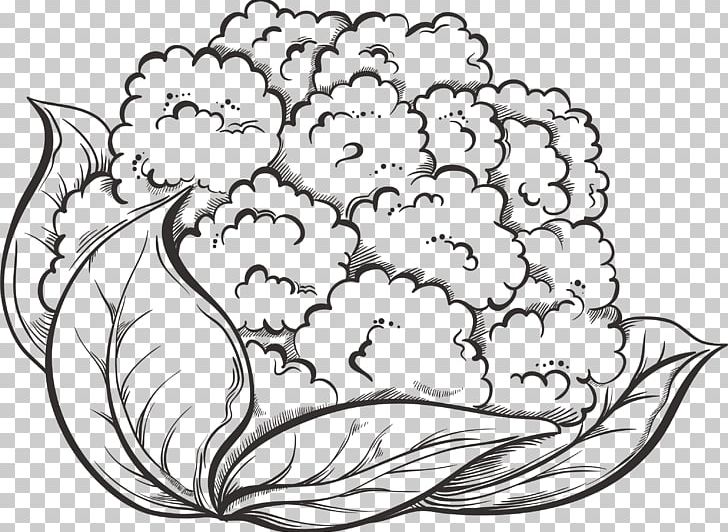Cauliflower Drawing Vegetable Broccoli PNG, Clipart, Art, Artwork, Black And White, Encapsulated Postscript, Flower Free PNG Download