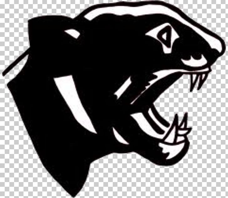 Carolina Panthers South Iron High School Philadelphia Eagles Sanity NFL PNG, Clipart, Black, Carnivoran, Carolina Panthers, Cat Like Mammal, Dog Like Mammal Free PNG Download
