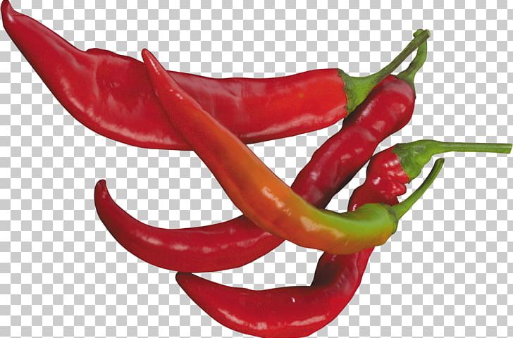 Chili Pepper Serrano Pepper Cayenne Pepper Jalapeño PNG, Clipart, Bell Pepper, Bell Peppers And Chili Peppers, Birds Eye Chili, Cayenne Pepper, Chili Pepper Free PNG Download