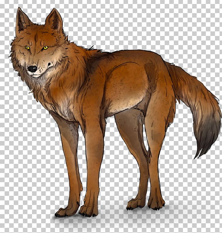 Red Fox WolfQuest Dhole Coyote PNG, Clipart, Art, Carnivoran, Cat, Coyote, Dhole Free PNG Download