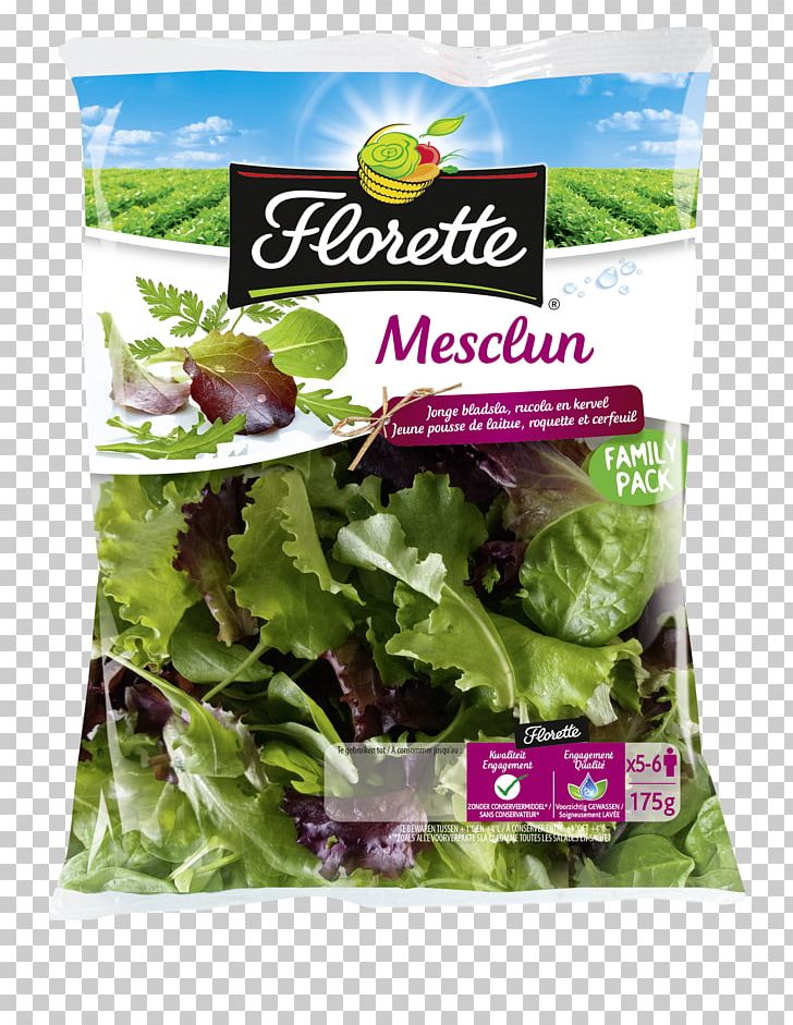 Romaine Lettuce Mesclun Corn Salad PNG, Clipart, Arugula, Chard, Common Beet, Corn Salad, Food Free PNG Download