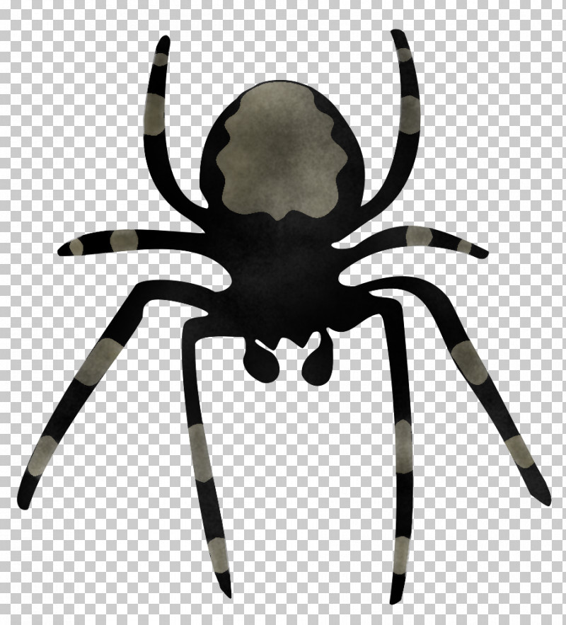 Spider Tarantula Orb-weaver Spider Arachnid Insect PNG, Clipart, Arachnid, Araneus, European Garden Spider, Insect, Orbweaver Spider Free PNG Download