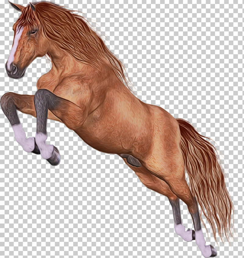 Horse Animal Figure Sorrel Mane Stallion PNG, Clipart, Animal Figure, Horse, Liver, Mane, Mare Free PNG Download