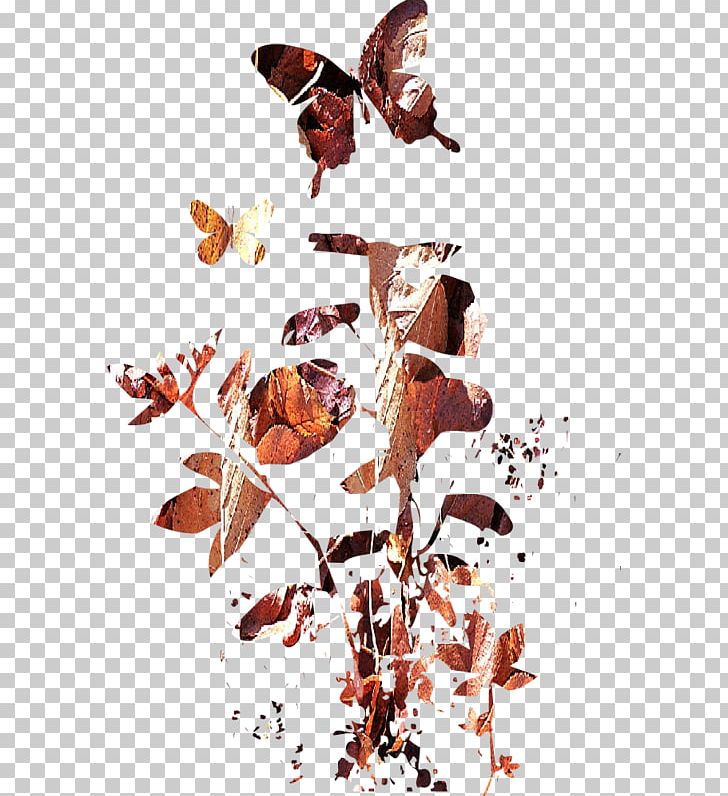 Butterfly HTTP Cookie Agritur Malga Arpaco Insect PNG, Clipart, Agritur Malga Arpaco, Art, Branch, Butterflies And Moths, Butterfly Free PNG Download