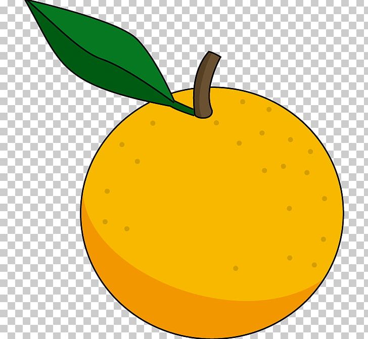 Orange Satsuma Mandarin Citreae PNG, Clipart, Citreae, Clip Art, Orange, Satsuma Mandarin Free PNG Download