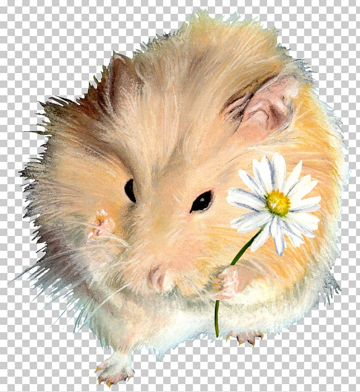 Rodent Hamster Guinea Pig Dormouse PNG, Clipart, Animal, Animals, Dormouse, Fauna, Get Well Soon Free PNG Download