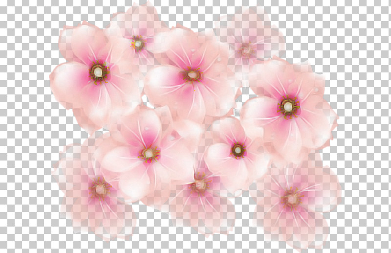 Cherry Blossom PNG, Clipart, Artificial Flower, Blossom, Cherry Blossom, Cut Flowers, Floral Design Free PNG Download