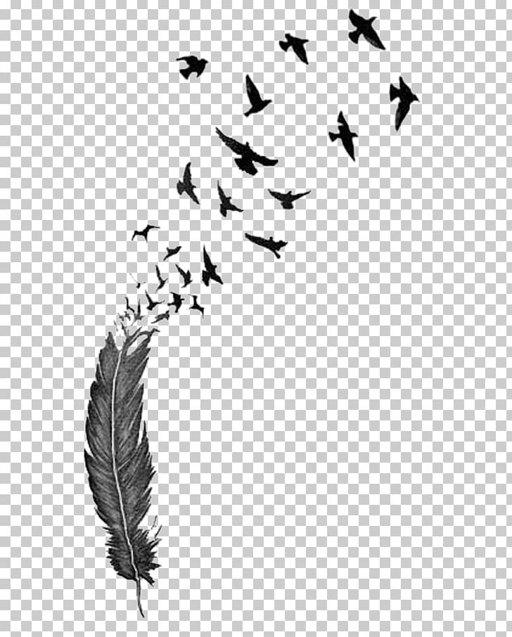 Bird Feather Tattoo Drawing PNG, Clipart, Abziehtattoo, Animals, Beak, Bird, Black And White Free PNG Download