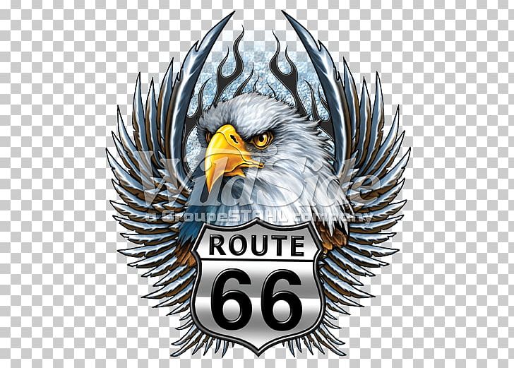Bald Eagle U.S. Route 66 Bird T-shirt PNG, Clipart, Accipitriformes, Animals, Bald Eagle, Beak, Bird Free PNG Download