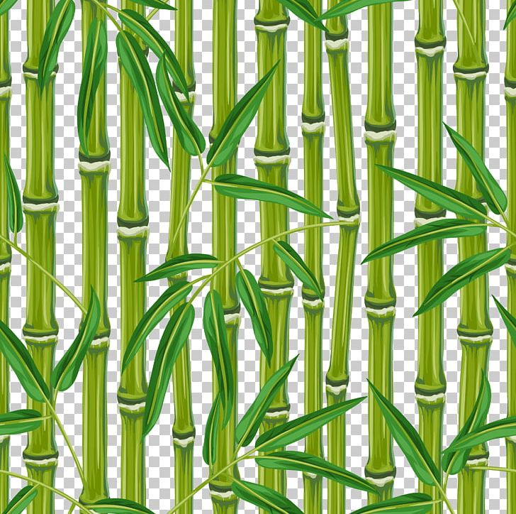 Bamboo Bamboe PNG, Clipart, Adobe Illustrator, Bamboo Leaves, Free Logo Design Template, Free Vector, Grass Free PNG Download