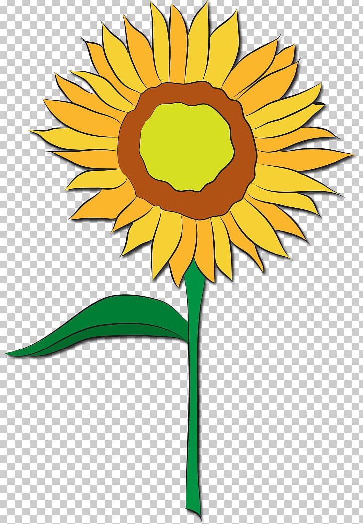 Common Sunflower Floral Design Cut Flowers Sunflower Seed PNG, Clipart, Artwork, Common Sunflower, Cut Flowers, Daisy Family, Flora Free PNG Download