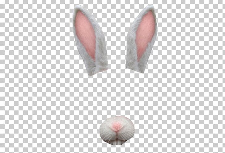 Ear Rabbit PNG, Clipart, Antenna, Avatan, Avatan Plus, Computer Icons, Ear Free PNG Download