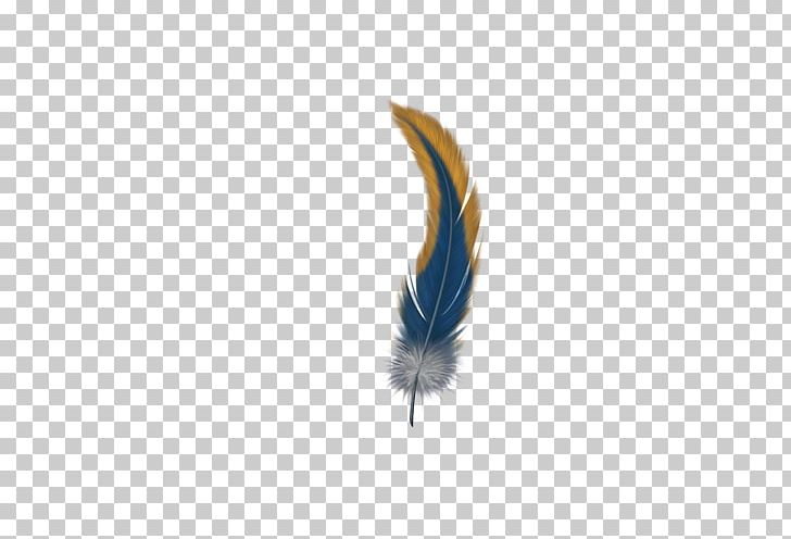 Feather Computer PNG, Clipart, Animals, Blue, Color, Colored, Color Pencil Free PNG Download