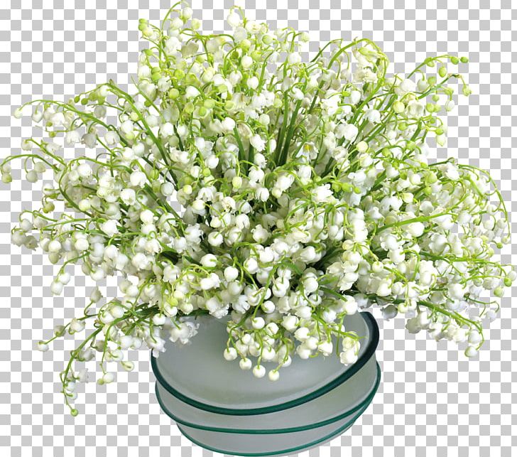Flower Animation Lily Of The Valley PNG, Clipart, Animation, Blog, Cut Flowers, Floral Design, Floristry Free PNG Download