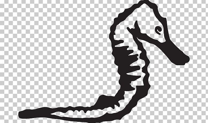 Seahorse White Shoe PNG, Clipart, Animals, Beak, Black And White, Horse, Horse Like Mammal Free PNG Download