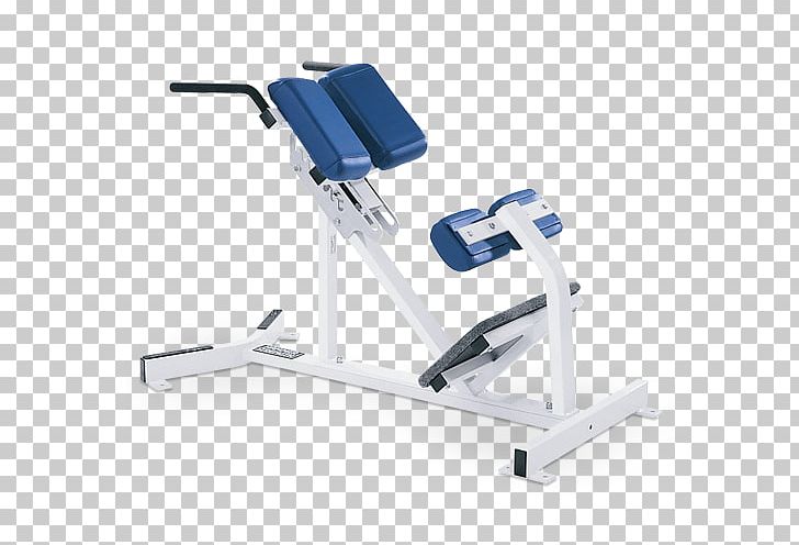 Bench Strength Training Crunch Hyperextension Weight Training PNG, Clipart, Bench, Crunch, Dip, Dumbbell, Exercise Free PNG Download