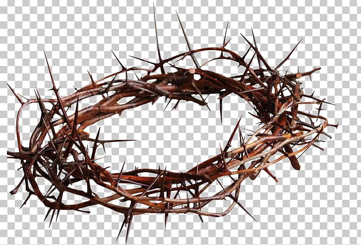 Good Friday Easter Palm Sunday Lent New Covenant PNG, Clipart, Bird Nest, Branch, Church, Crown, Crown Of Thorns Free PNG Download