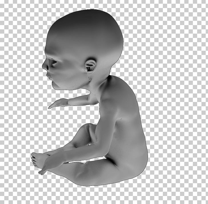 Infant 3D Printing 3D Computer Graphics CGTrader STL PNG, Clipart, 3d Computer Graphics, 3d Modeling, 3d Printing, Animated Film, Arm Free PNG Download