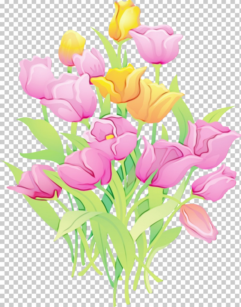 Flower Cut Flowers Petal Pink Plant PNG, Clipart, Bouquet, Crocus, Cut Flowers, Flower, Paint Free PNG Download