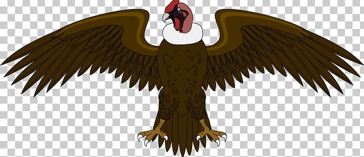Coat Of Arms Of Colombia Andean Condor Andes PNG, Clipart, Accipitriformes, Andean Condor, Andes, Bald Eagle, Beak Free PNG Download